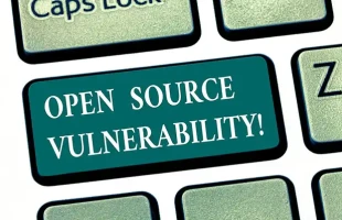 Xl 2020 Open Source Vulnerability 1 Esm H200